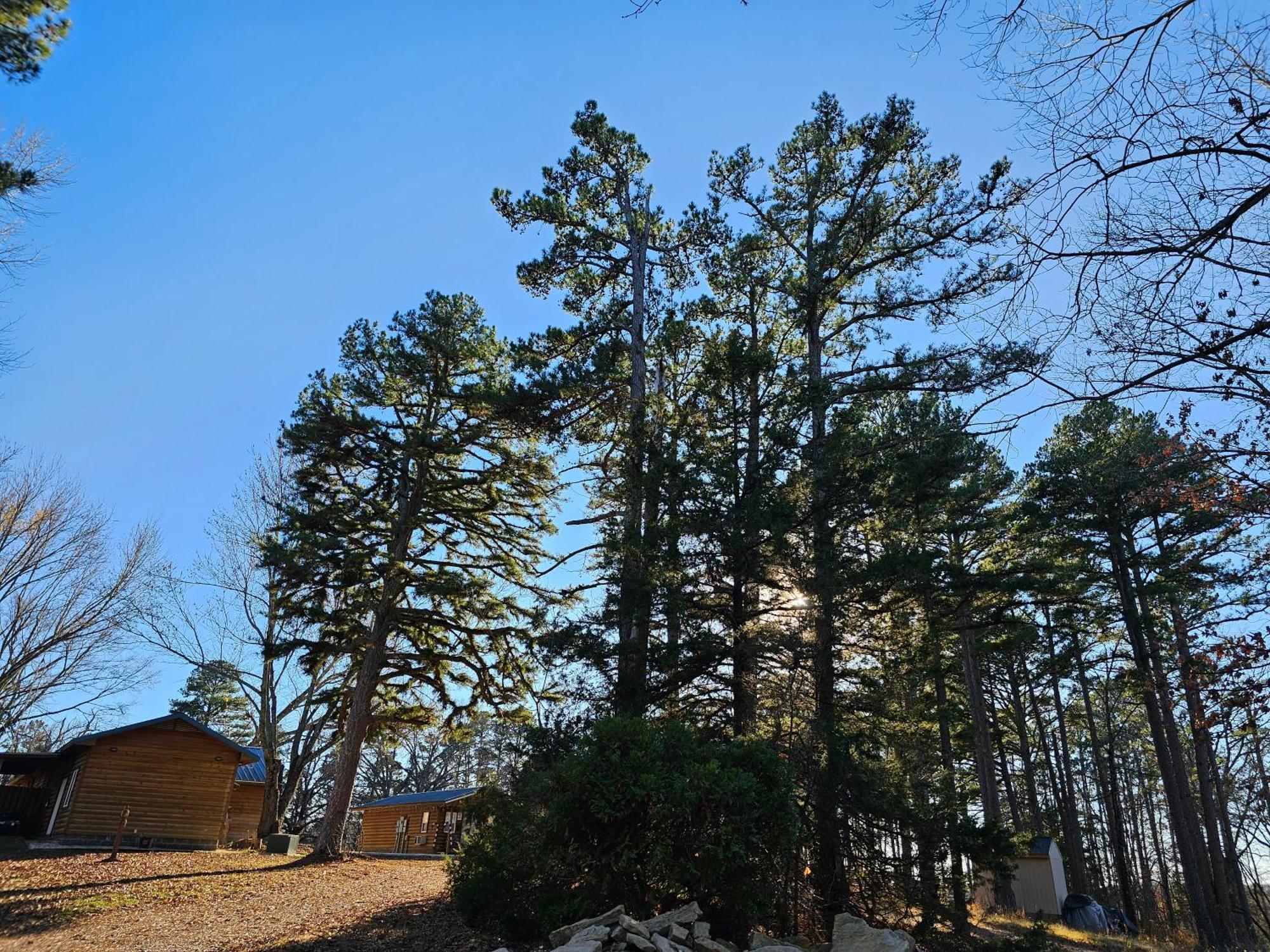 5 Min To Beaver Lake-King Bed-Fire Pit-Jetted Tub #4 Eureka Springs Ngoại thất bức ảnh